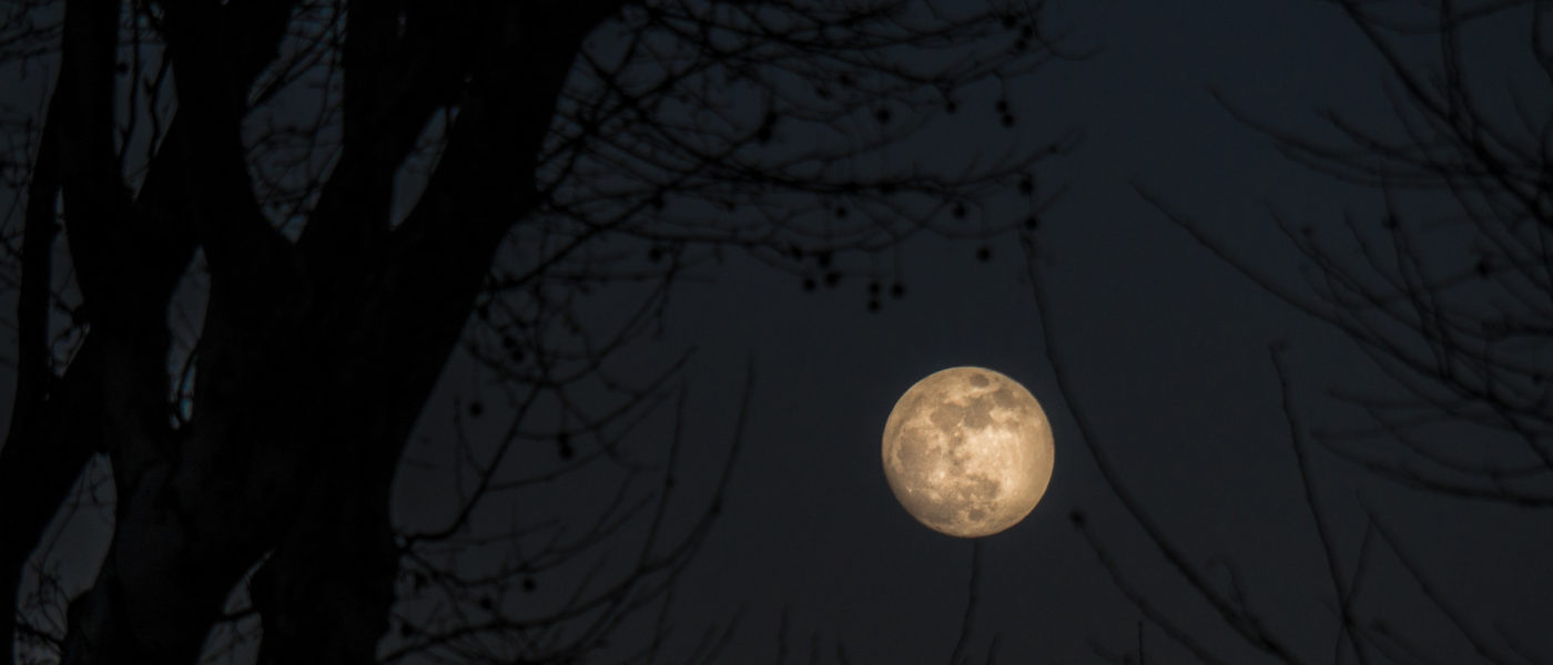 Les debunkages de l'association de « zététique » FASD Zet 66 : La lune influences-elle vraiment la croissance des plantes ?