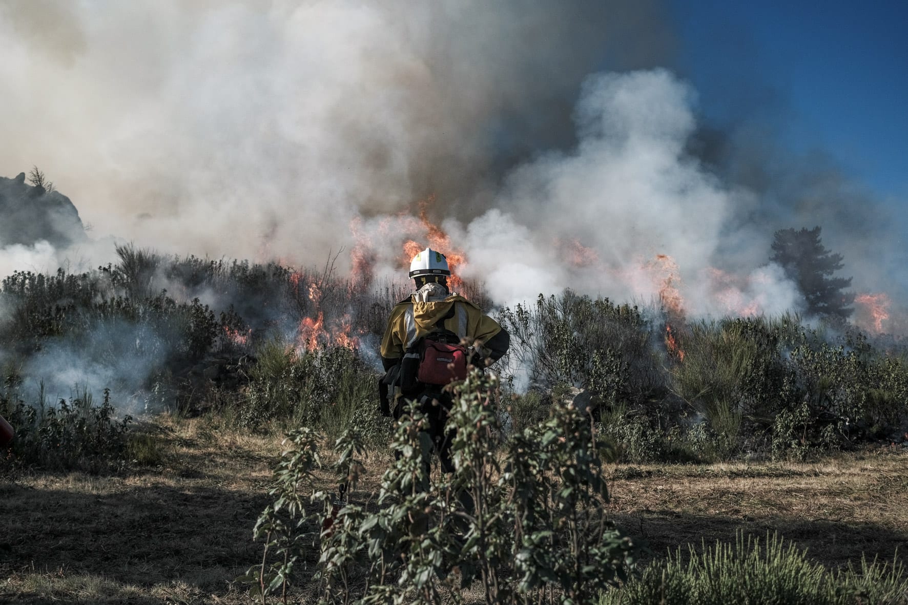 Incendies: qu'est ce que la technique du contre-feu tactique, utilisée par  les pompiers ?
