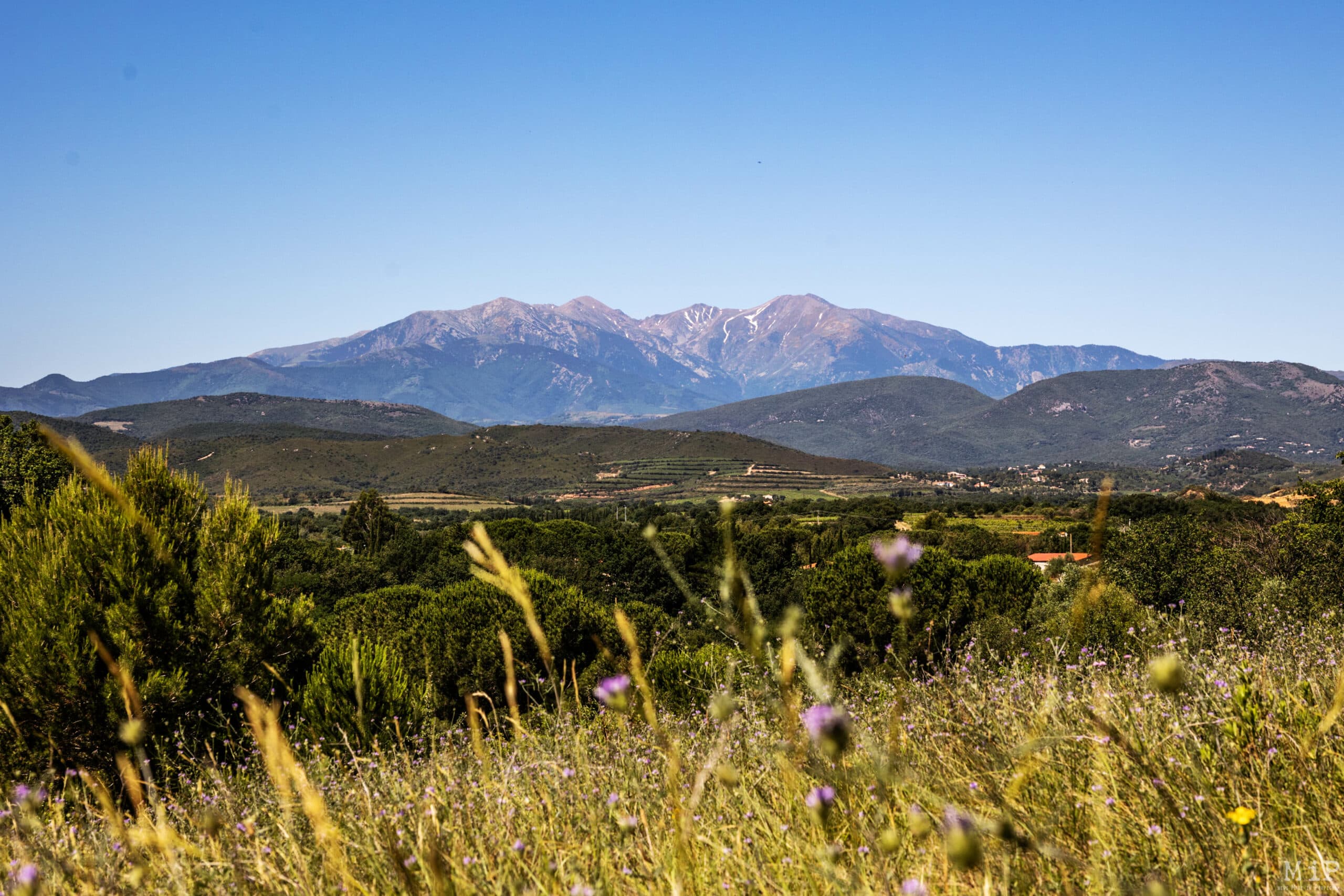 Pyrénées-Orientales : 44 évènements pour célébrer la Fête de la Nature 2023
