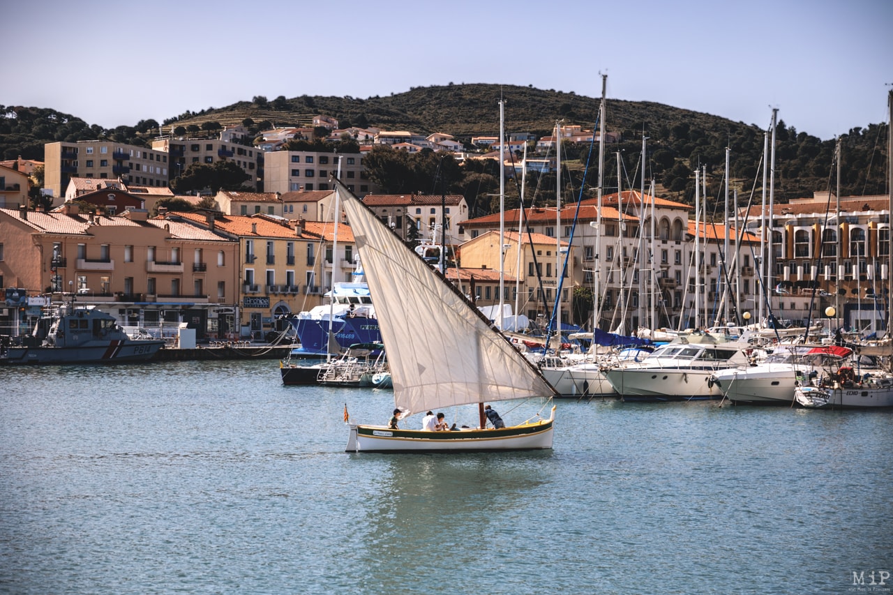 Sortie en mer, débats, sports nautiques... Ce festival s'amarre à Port-Vendres