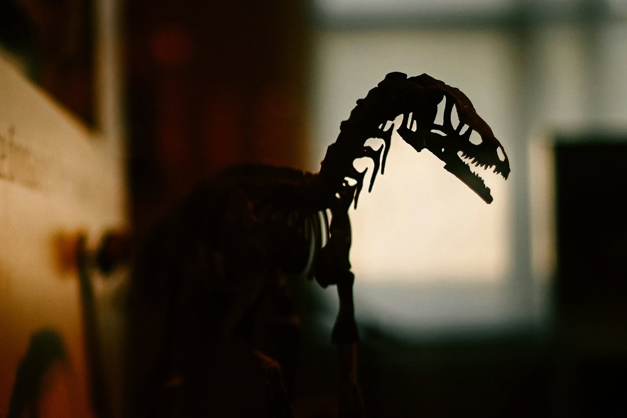 Une étude révèle une grande diversité de dinosaures dans les Pyrénées : le célèbre vélociraptor en fait partie