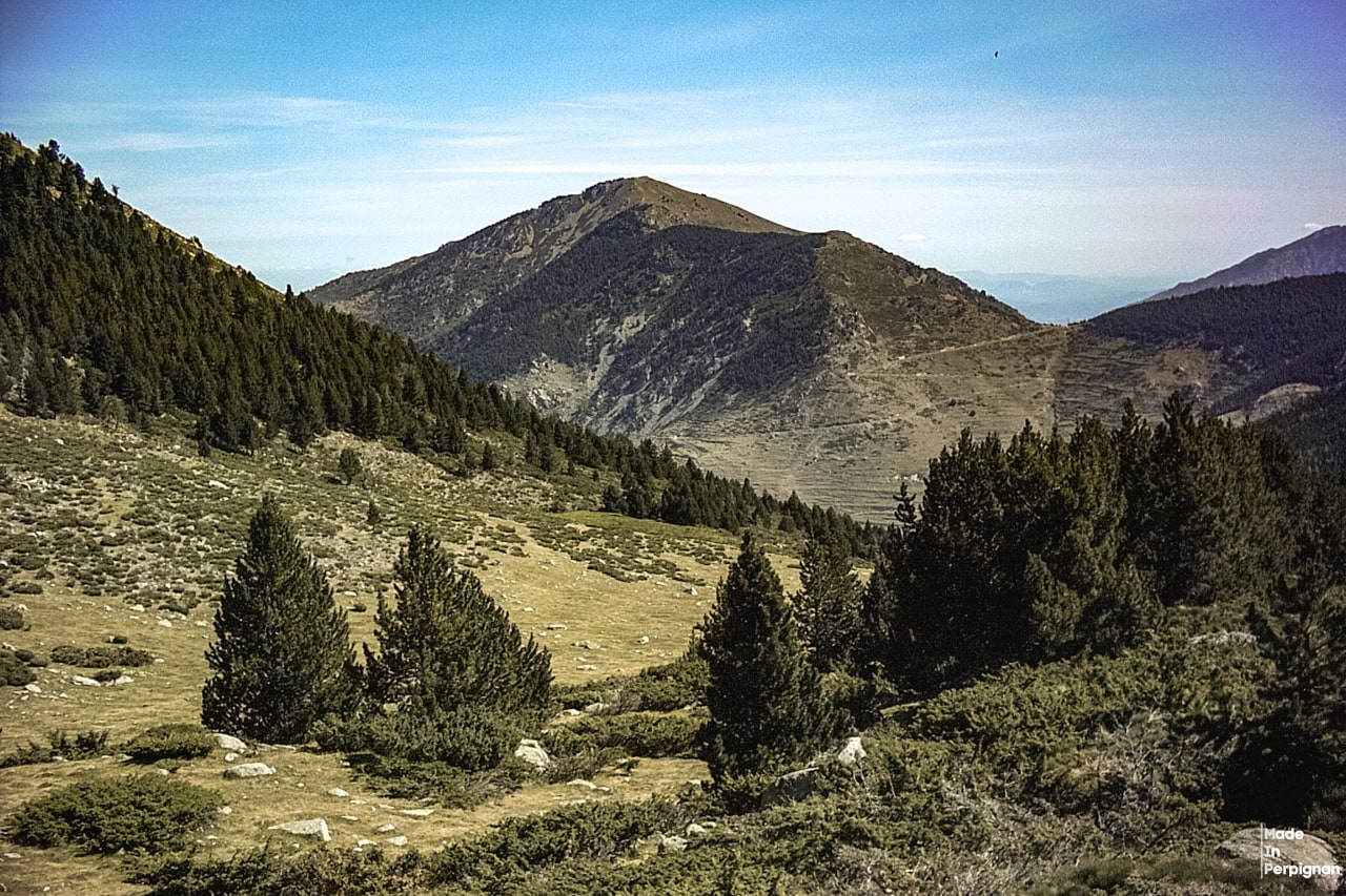 Le projet de téléphérique de la station de ski Vallter 2000 menace la réserve naturelle de Mantet dans les Pyrénées-Orientales. Les défenseurs du patrimoine exigent une étude d’impact transfrontalière.