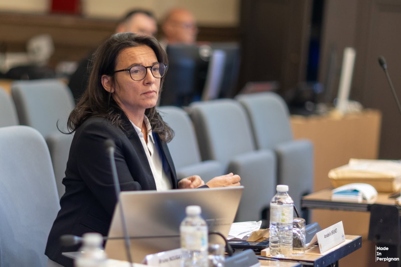 Vidéo. À Perpignan, l'élue d'opposition Annabelle Brunet fait un "salut nazi" en conseil municipal