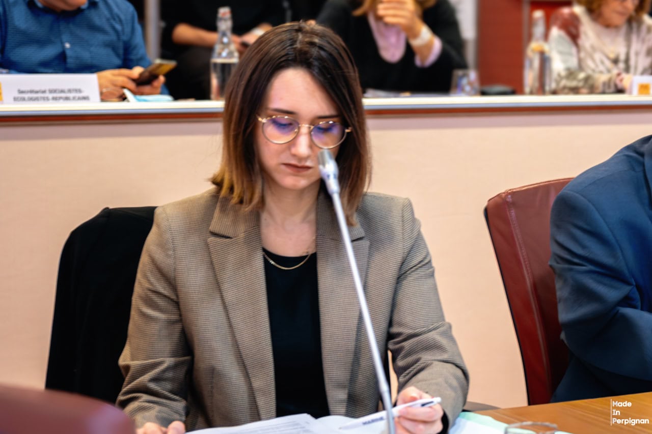 Collages politiques à Canohès : pourquoi la mairie RN a porté plainte contre un collectif féministe
